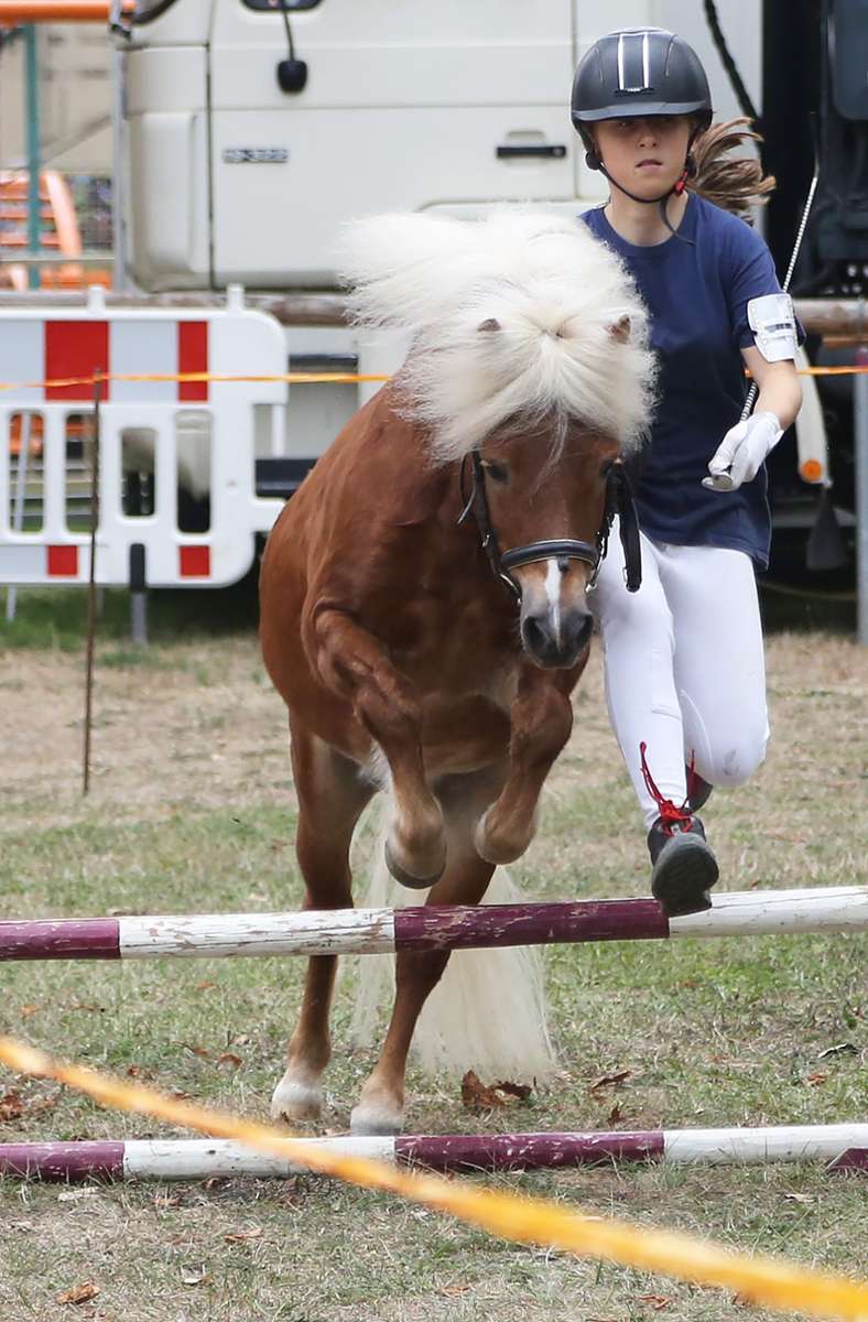 Beim Pferdemarkt haben die Tiere vor allem ihr Sprungtalent zu beweisen.