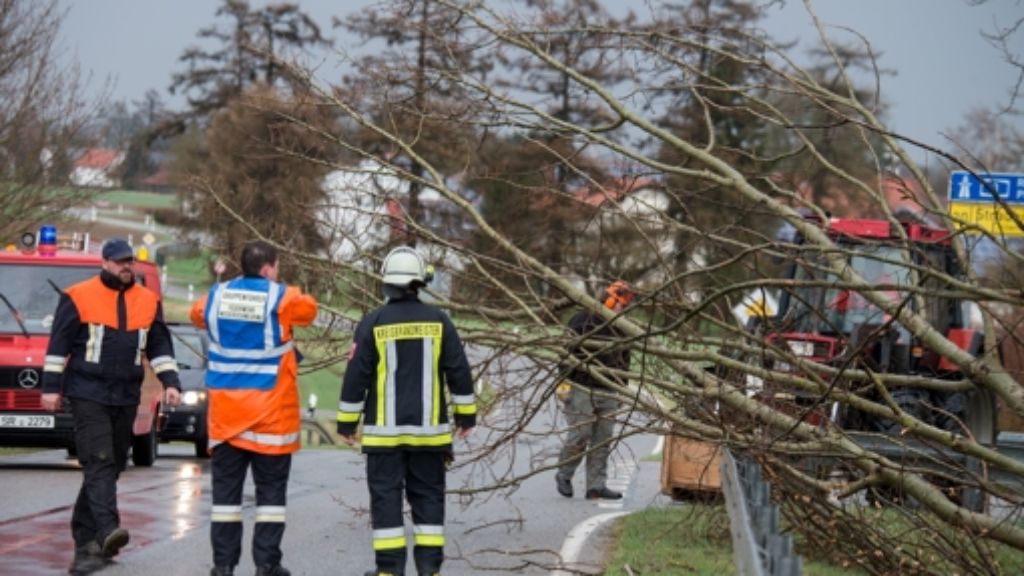 Sturmtief Niklas in Ludwigsburg: Von Ast getroffen und lebensgefährlich verletzt