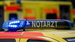 Fasnet in Wernau – Zwei Verletzte nach Schlägerei