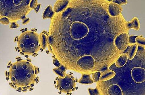 Das  Coronavirus wird bei immer mehr Menschen in immer mehr Ländern entdeckt. Foto: AFP/HANDOUT