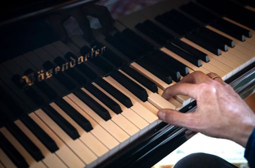 Ein systemrelevanter Pianist jubiliert während einer Schubert-Sonate bei jedem Tastenanschlag innerlich: „Ein Ton für die Demokratie!“, stellt sich Jörg Scheller vor. Foto: dpa/Sina Schuldt