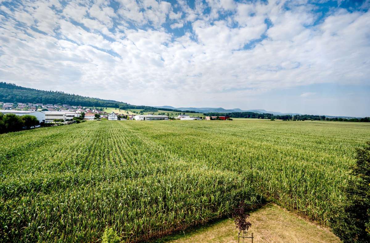 Das Ackerland erhalten oder Gewerbeflächen ausweisen? Darum geht der Streit in Donzdorf. Foto: Giacinto Carlucci
