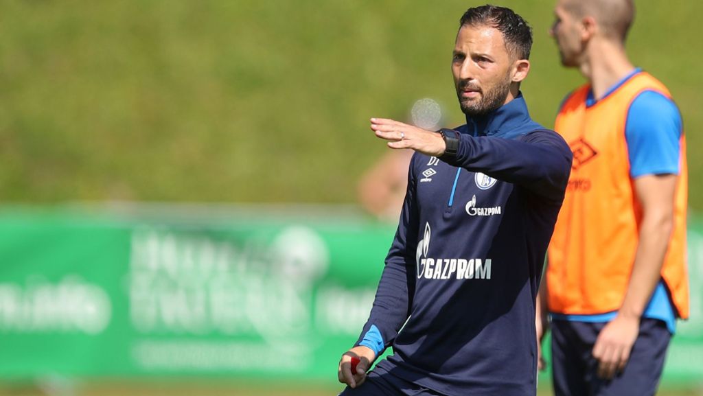Trainer aus dem Kreis Esslingen: Domenico Tedesco verlängert Vertrag beim FC Schalke 04