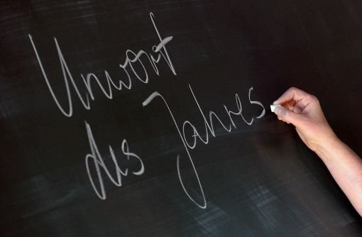 Am Dienstag hat die Gesellschaft für deutsche Sprache das Unwort des Jahres 2011 gekürt. Foto: dapd