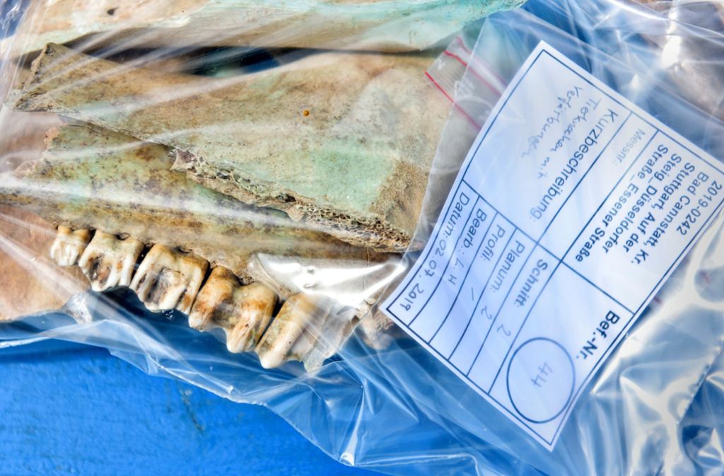 Auch Tierknochen wurden gefunden.