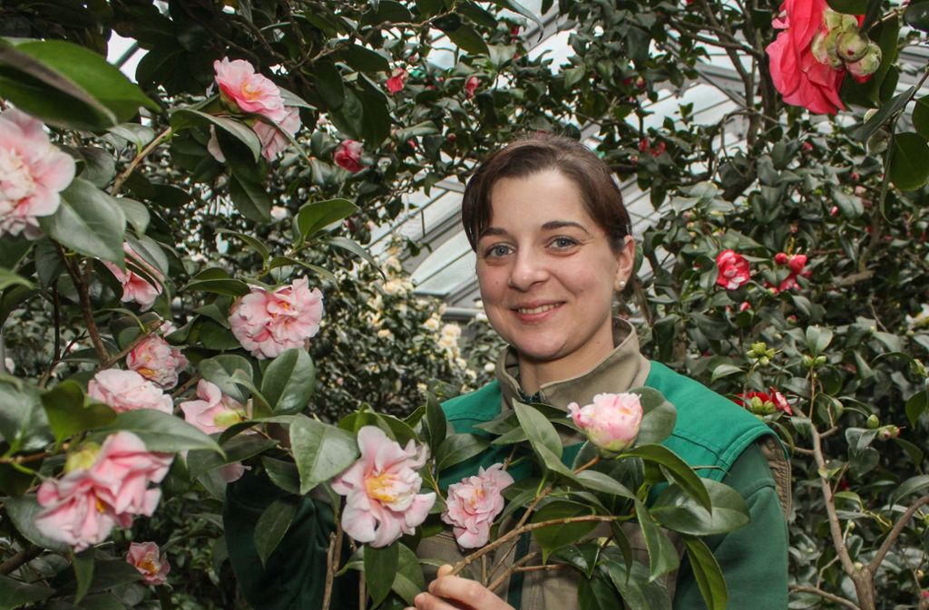 Anna-Sitah Heydemann ist angehende Zierpflanzengärtnerin und begeistert von den Ziersträuchern.