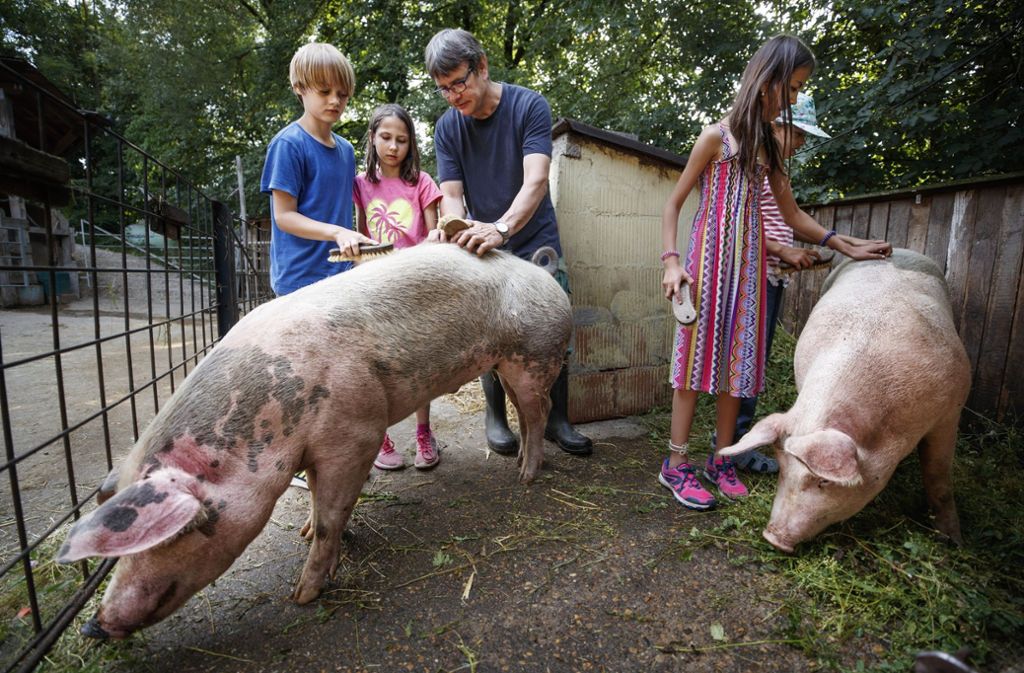 Seit 22 Jahren ist Clemens Luber Pächter eines Bauernhofs, der zur Waldorfschule Engelberg gehört. Seit einigen Jahren ist die Arbeit mit Schulklassen ein Standbein des Betriebs. Die Kinder dürfen Schweine streicheln, ...