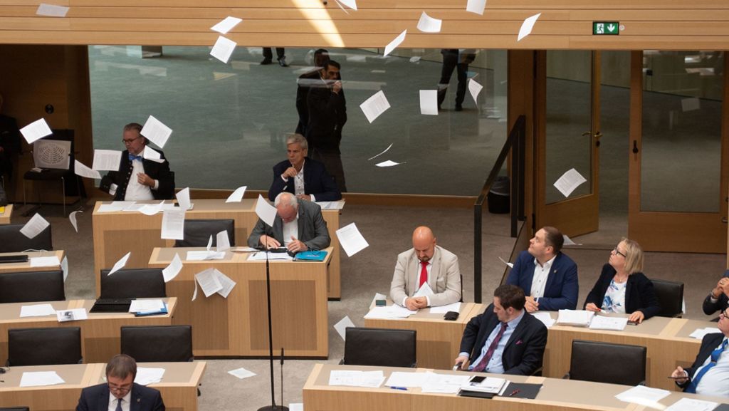 Wirbel im Landtag: Junge Klimaschützer werfen Flugblätter von Landtagstribüne