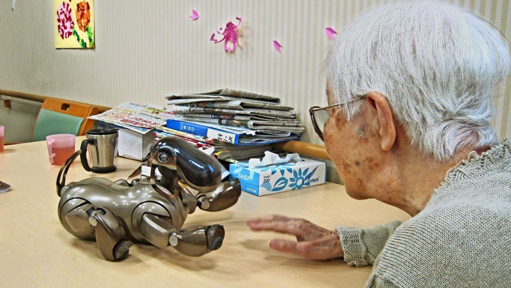 Altenheim in Japan: Kuscheln mit dem Computerhund
