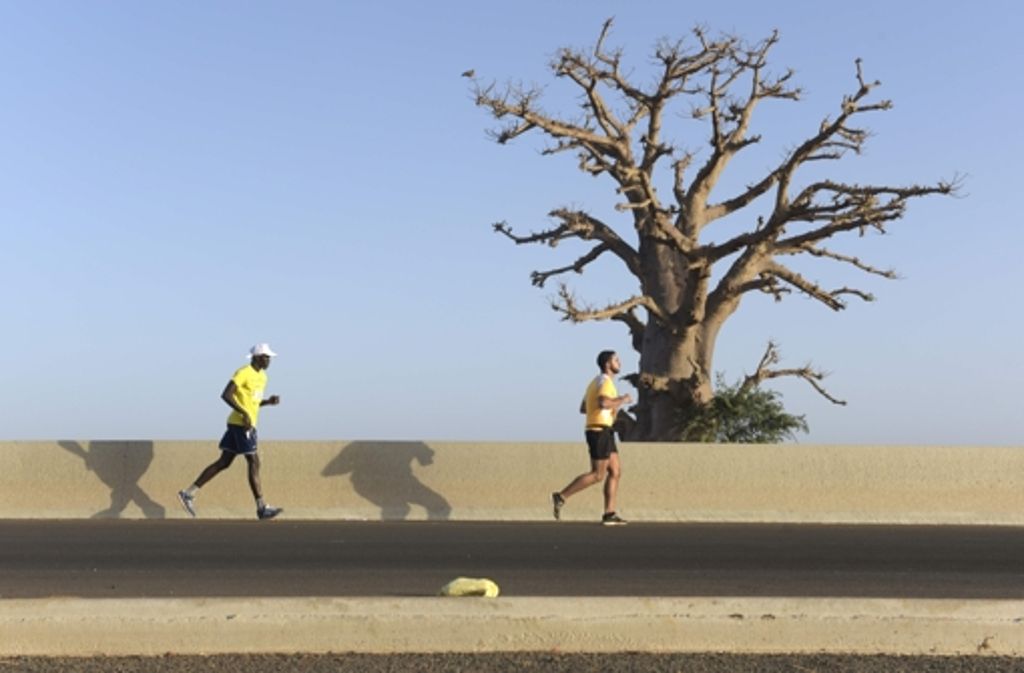 Präsent in und um Dakar: der Baobab, der Affenbrotbaum. Hier ein Bild vom ersten internationalen Dakar-Marathon, der im Februar vor dem modernen Konferenzzentrum der senegalesischen Hauptstadt startete.