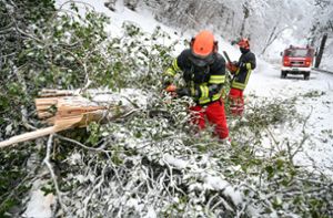 Umgestürzte Bäume und festgefahrene Lkw –  Schneechaos hält an