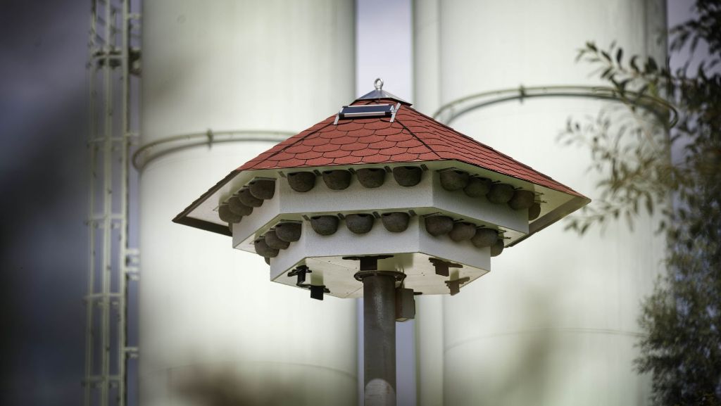 Vogel-Fertighäuser  in Backnang: Wohnungsnot  auch bei den Schwalben