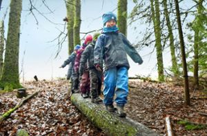 Warum immer mehr  Kinder in den Waldkindergarten gehen