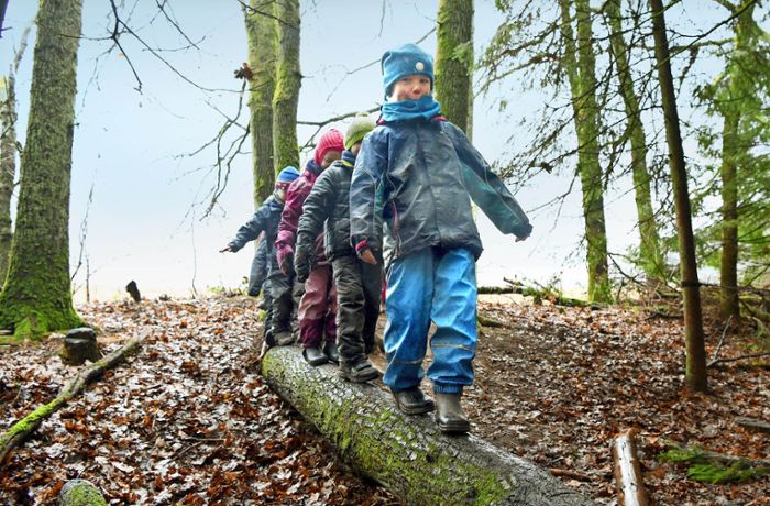 Betreuung in der Natur: Warum immer mehr  Kinder in den Waldkindergarten gehen