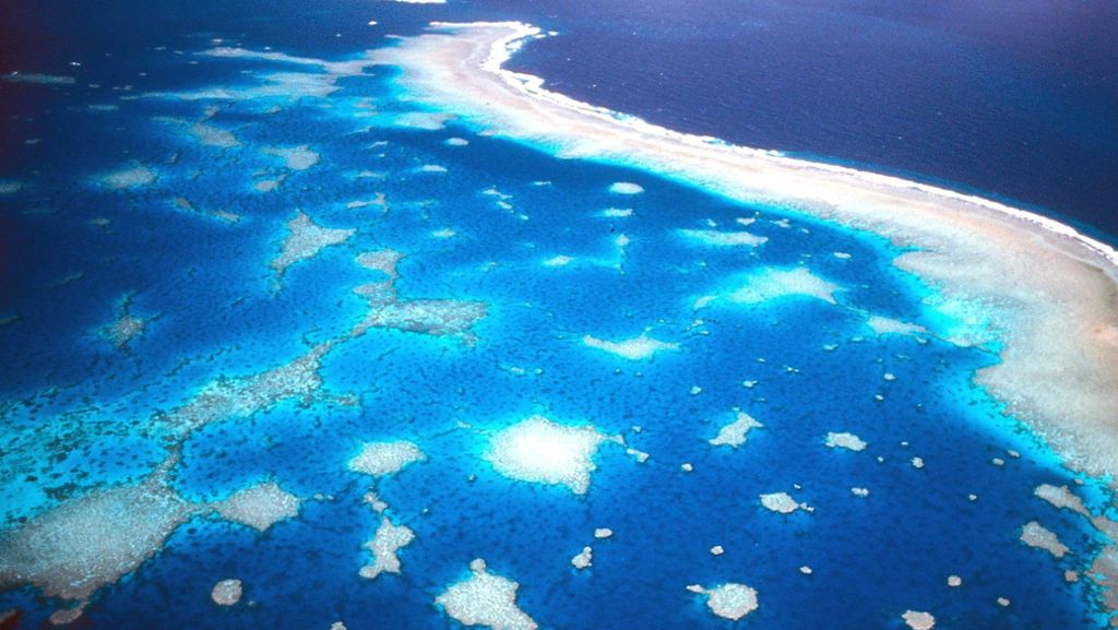 Bild des Tages: Klimawandel bedroht das Great Barrier Reef