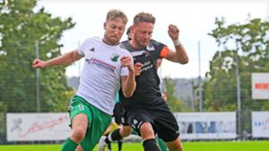 Fußball Landesliga: Gelungene Generalprobe für den TSV Heimerdingen