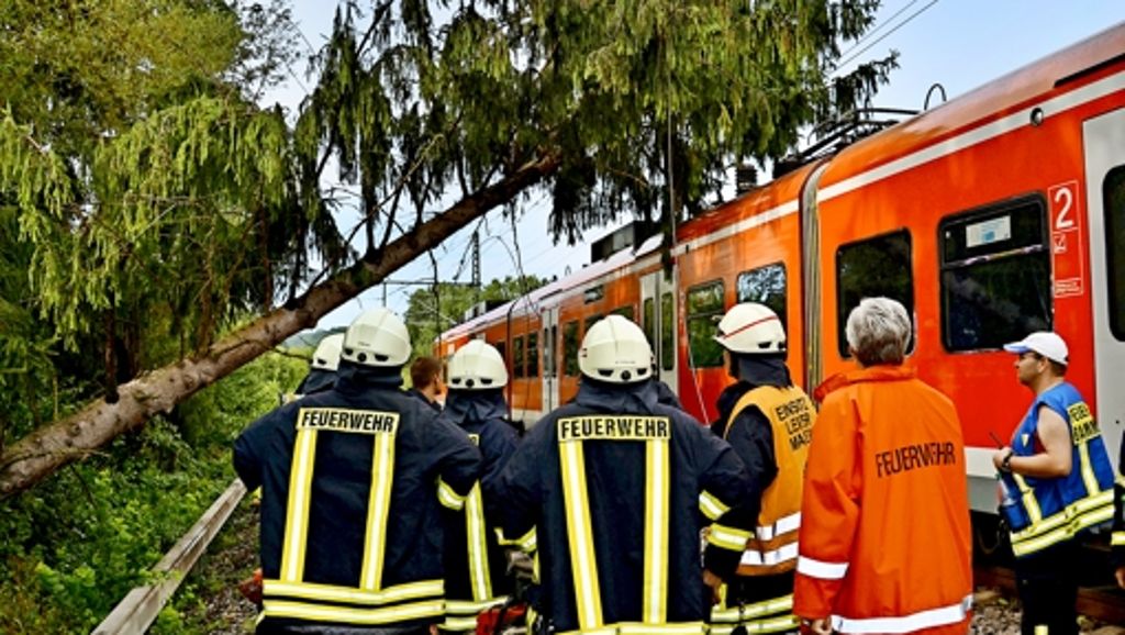 Kritik an der Deutschen Bahn: Etliche  Bahn-Unfälle durch umstürzende Bäume