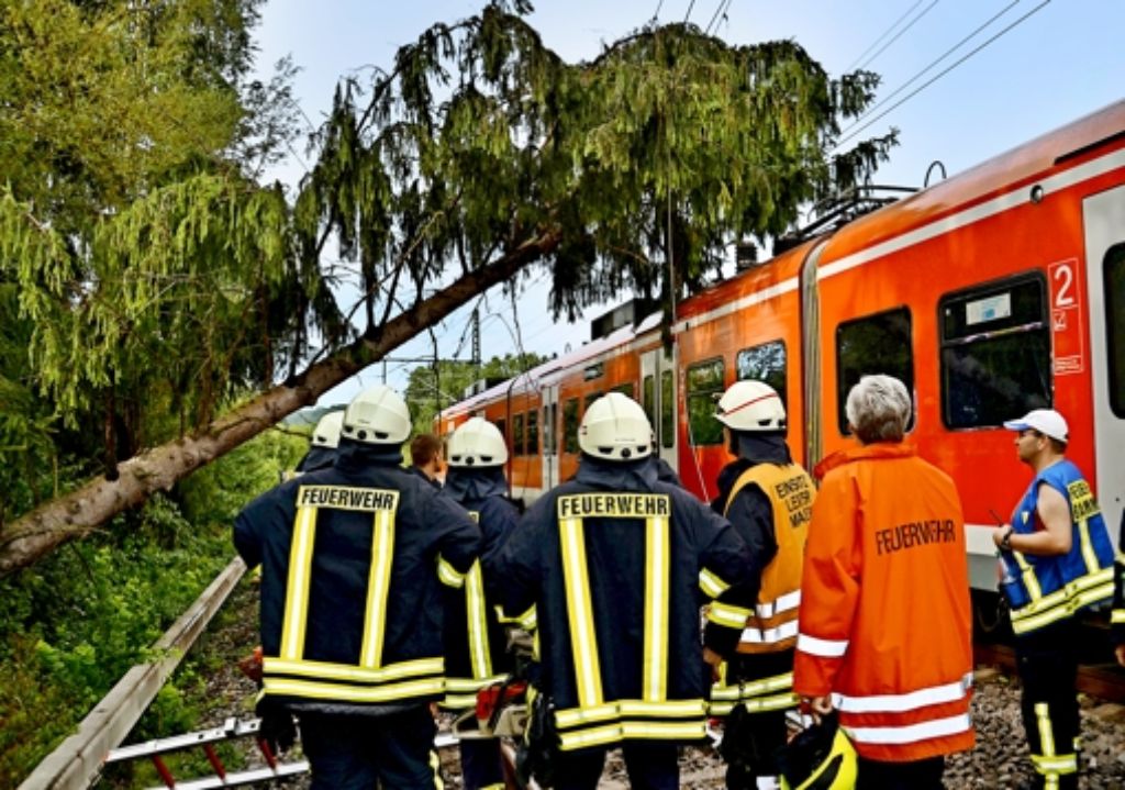 Sturmschäden führen  immer wieder zu Problemen bei der Bahn: Im August 2013 etwa stürzte  während eines Unwetters ein Baum bei Bammental (Rhein-Neckar-Kreis)  auf einen S-Bahn-Zug, beschädigte die Oberleitung und verursachte erhebliche Behinderungen. Foto: dpa