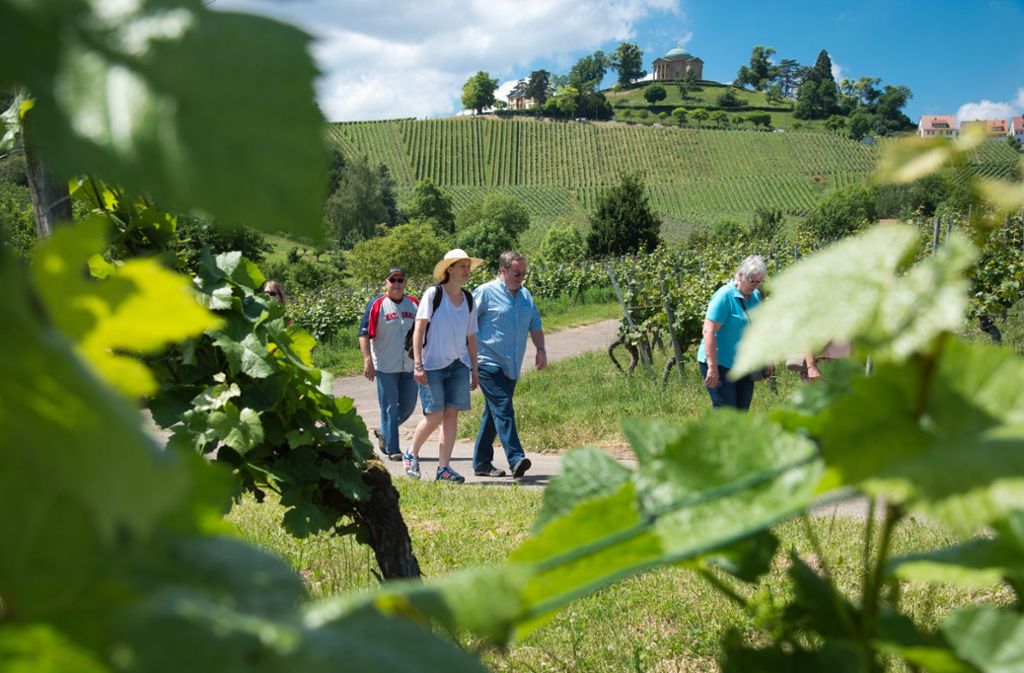 Durch die weite Landschaft auf dem Weg zum Rotenberg: Die Route von Obertürkheim nach Untertürkheim ist bei vielen Weinwanderern sehr beliebt.