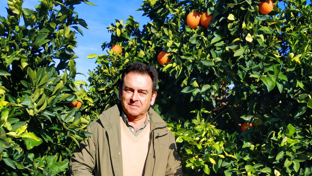 Spanischer Plantagenbesitzer: Die Revolution im Orangenwald