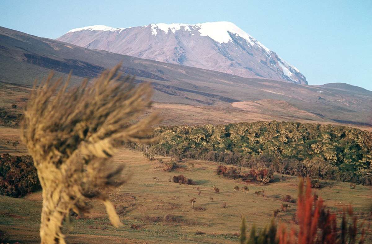 Der Kilimandscharo war bis 1918 der höchste Berg Deutschlands. Das liegt daran, dass Tansania eine deutsche Kolonie war. Der Kibo – heute Uhuru – als höchster Gipfel des Bergmassivs hieß noch bis 1964 Kaiser-Wilhelm-Spitze.