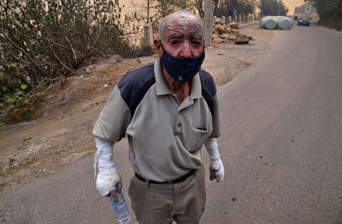 In Algerien sind laut Staatsfernsehen 65 Menschen durch die Waldbrände ums Leben gekommen. Viele weitere wurden verletzt.