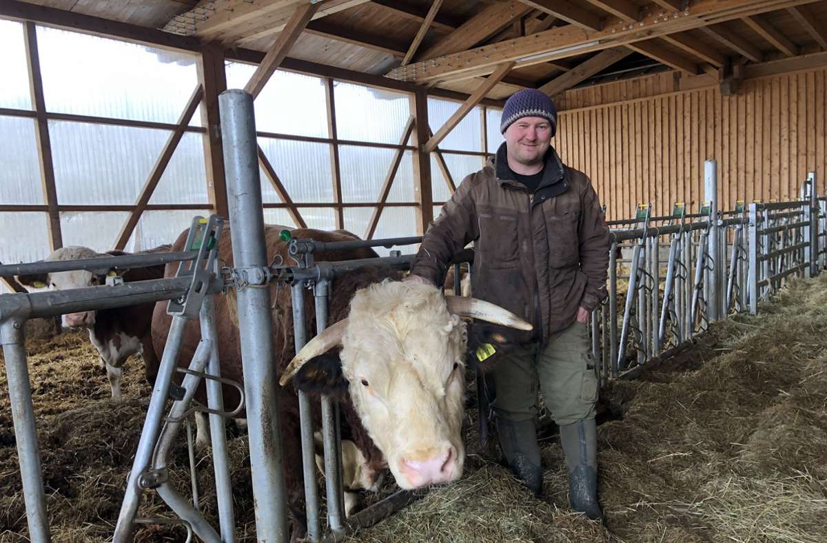 Um seine Rinder hat Bernd Vogelbacher weniger Angst. Sie seien ziemlich temperamentvoll und könnten sich mit ihren Hörnern gut verteidigen, sagt der Biobauer.