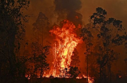 In der Gemeinde Bobin in New South Wales, nördlich von Sydney, wüten die Flammen außer Kontrolle. Foto: AFP/Peter Parks