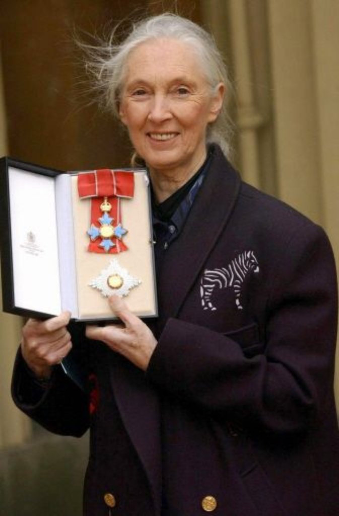 Die Königin der Schimpansen ist sie sowieso, 2004 wird aus der Verhaltensforscherin Jane Goodall eine "Dame Commander of the British Empire" (DBE).
