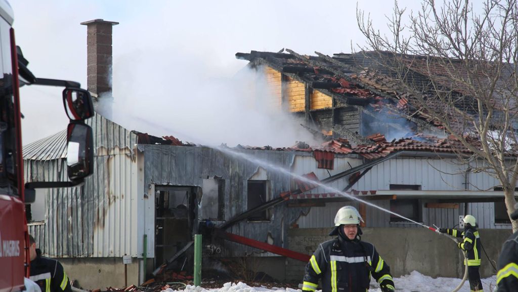 Baden-Württemberg: 150 Ferkel sterben bei Brand in Schweinestall