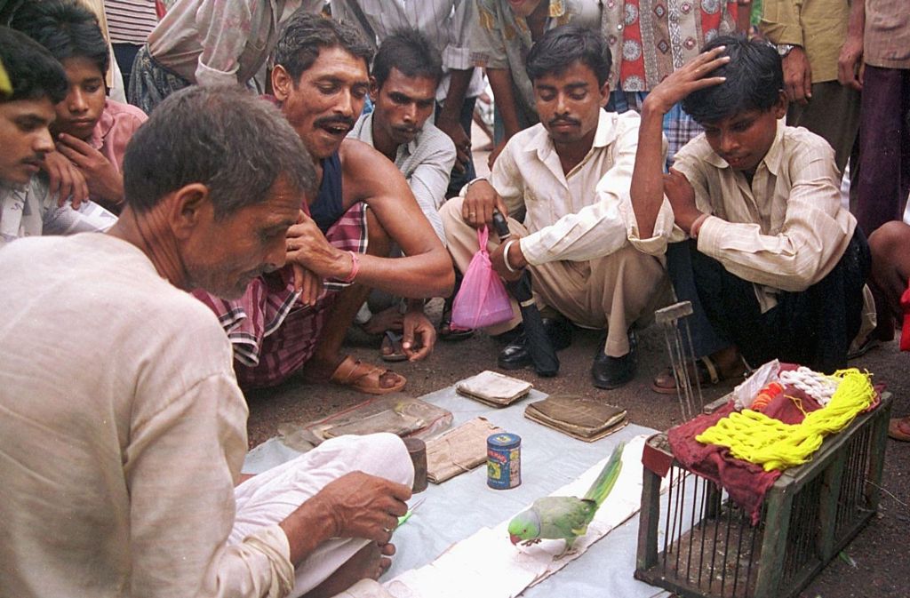 Ein indischer Straßen-Astrologe liest seinen Kunden für umgerechnet zwölf Cent aus Karten ihre Zukunft voraus. Aus Indien sei das Weltende aufgrund des Maya-Kalenders auf den 3. oder 4. Juni terminiert worden, so die GWUP.