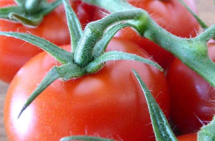 Mann will Tomaten  wärmen und fackelt Gewächshaus ab
