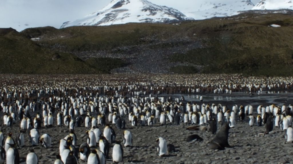 Antarktis: Die Spuren des Menschen bleiben
