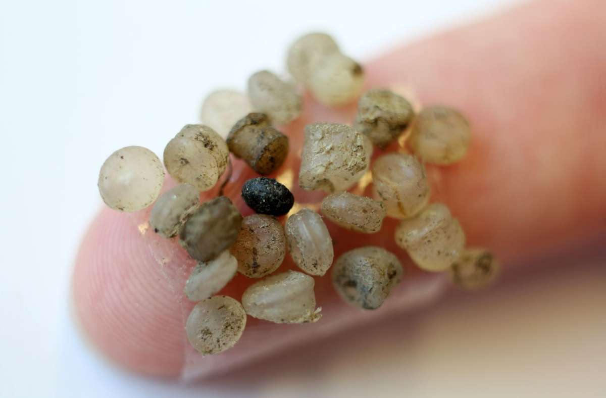 Mikroplastik-Teilchen aus dem Meer kleben an einem Klebestreifen an einem Finger. Forscher aus Bayreuth fanden heraus, dass häufig konsumierte Muscheln weltweit Mikroplastik enthalten.