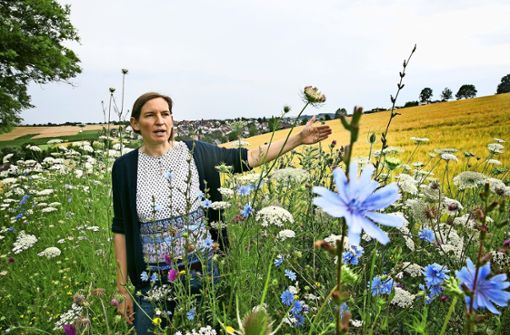 Maria Müller-Lindenlauf betont den Wert von Ackerrandstreifen mit  Wildkräutern als Lebensraum für Wildbienen. Foto: Ines Rudel