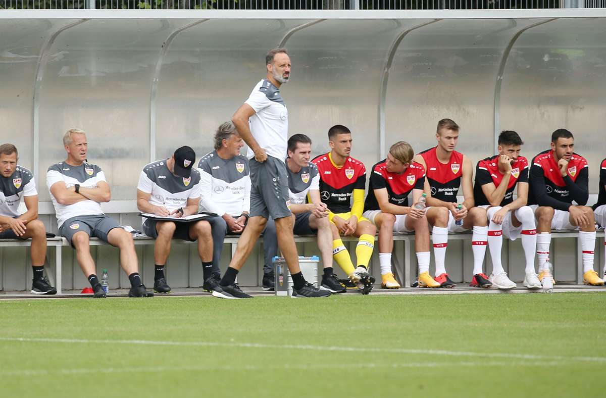VfB-Trainer Pellegrino Matarazzo blickte aufs Spielfeld.