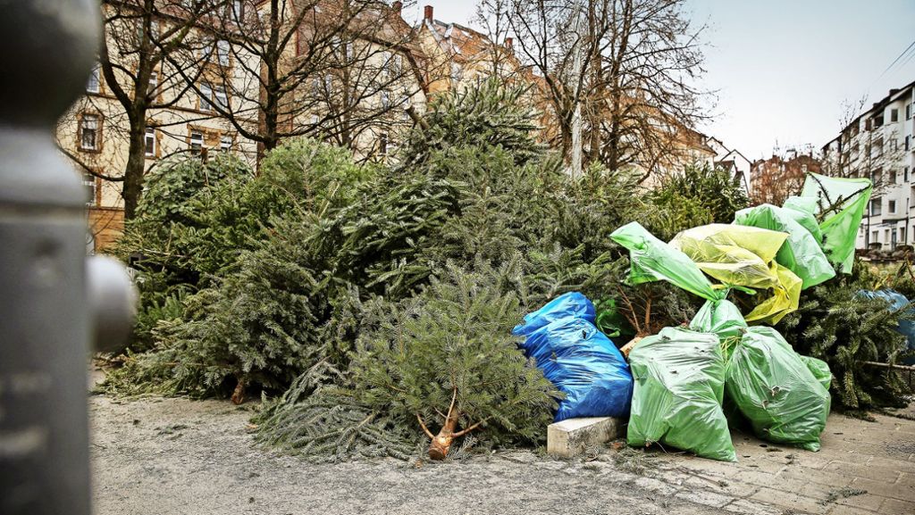 Sammelplätze in Stuttgart: Der lange Abschied vom Weihnachtsbaum