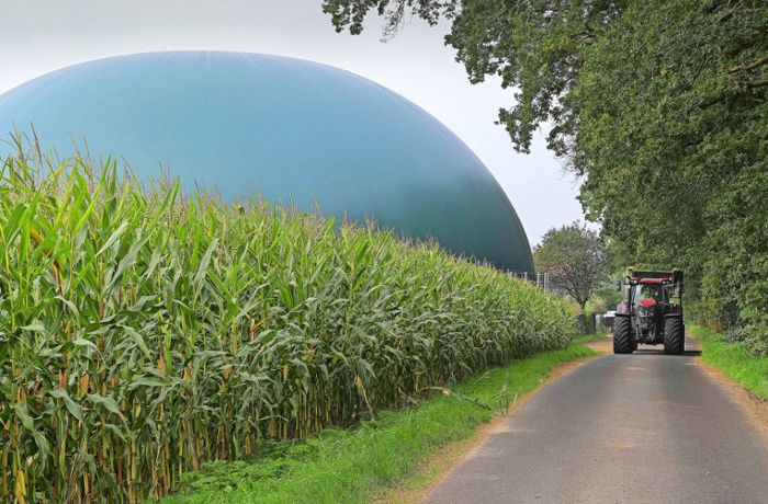 Weg aus der Abhängigkeit von russischem Erdgas: Biogasmenge kann deutlich erhöht werden