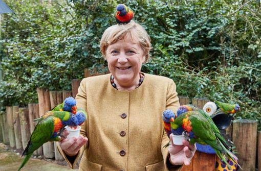 Angela Merkel kam mit den Vögeln gut zurecht. Foto: AFP/GEORG WENDT