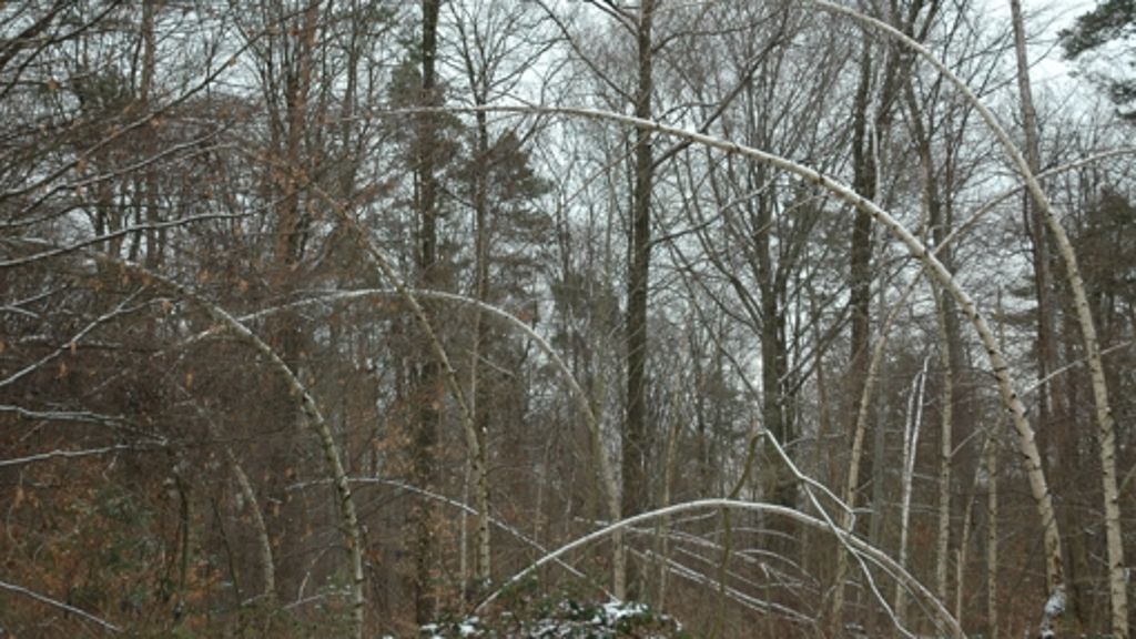 Waldebene Ost: Vom Schnee zu Skulpturen gebeugt