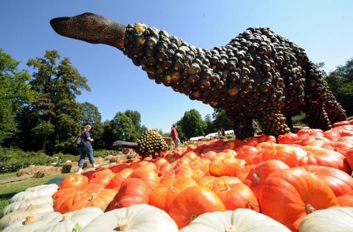 Aus Kürbissen gestaltete Dinosaurier sind die Stars der weltgrößten Kürbisausstellung, die am Wochenende in Ludwigsburg eröffnet wurde. Foto: dpa