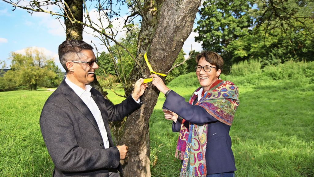  as Ernteprojekt „Gelbes Band“ ist jetzt im Landkreis Esslingen flächendeckend angelaufen. In 36 Kommunen können die Menschen kostenlos Obst von Bäumen ernten und verwerten, die durch eine Markierung für die Allgemeinheit freigegeben sind. 