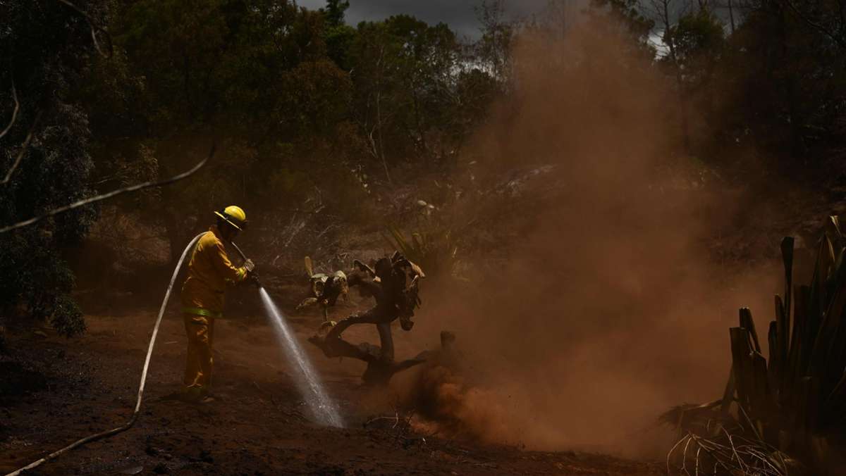 Keine Warnsirenen, herabfallende Kabel: 96 Tote – Kritik an Behörden nach verheerenden Bränden auf Maui