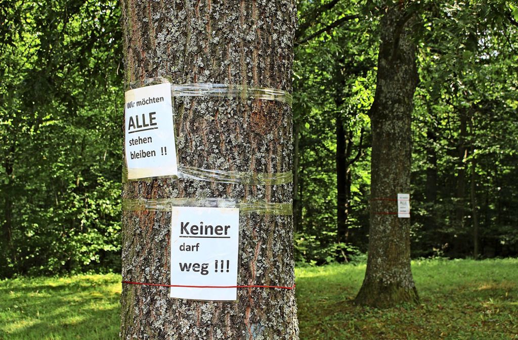 Für den geplanten Sendemast müssten einige Bäume weichen. Die Anwohner wollen, das nicht. Foto:  