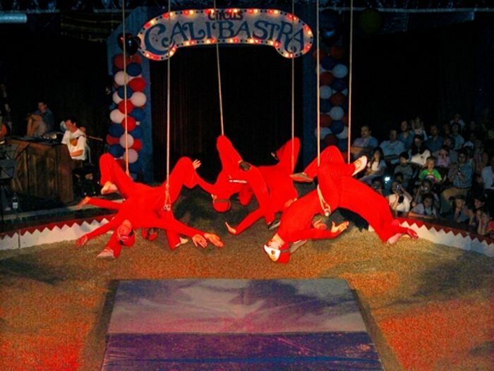 Circus Calibastra: Immer mit Netz und doppeltem Boden