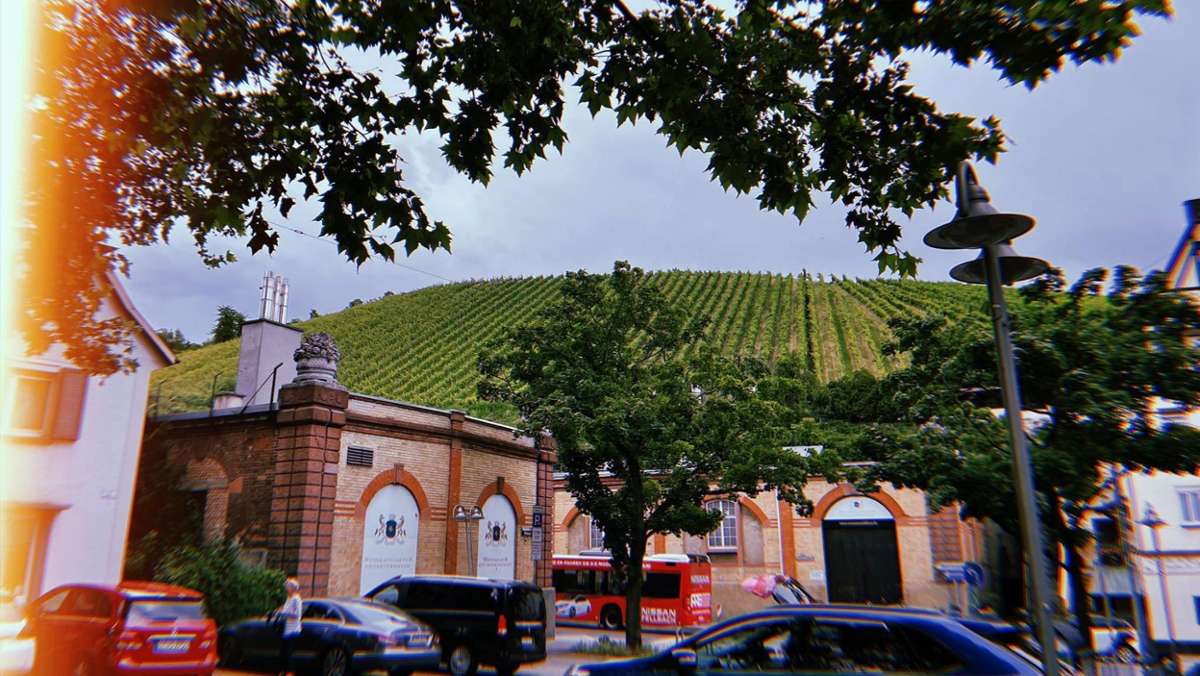 Ausgecheckt in Untertürkheim: Ein Ausflug mit Weinreben, Alpakas und Pizza