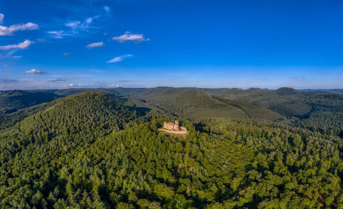 Vom Turm der Burgruine Gräfenstein hat man ein fantastisches 360°-Panorama über den Naturpark Pfälzerwald.