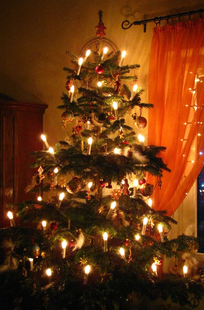 Christina Kemmerer mag selbstgemachten Baumschmuck: „Ich persönlich finde meinen Weihnachtsbaum am schönsten, weil er eher traditionell gehalten ist und ein Teil des Christbaumschmucks selber hergestellt wurde. Außerdem hat er keine bunten Lichter, die ich persönlich kitschig finde und nicht mag.“
