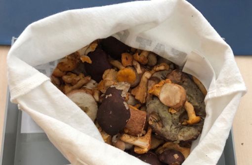 Die Zöllner beschlagnahmten mehr als zwei Kilogramm Pilze. Foto: Hauptzollamt