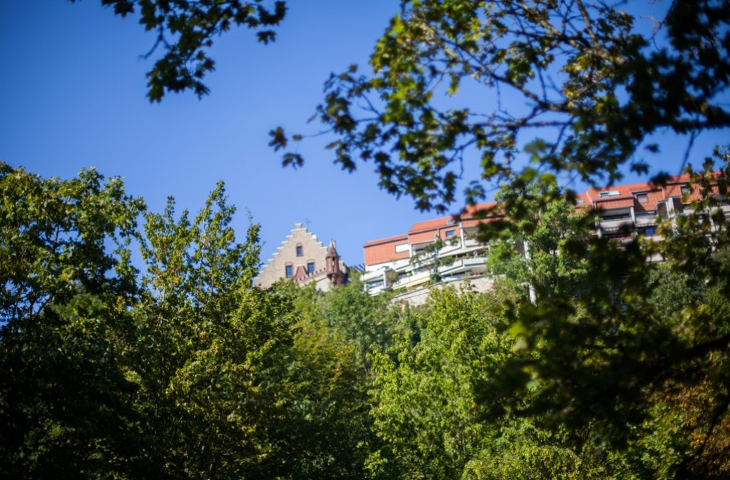 Ein Blick auf das Höfinger Schloss.